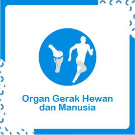 Tema 1 Organ Gerak Hewan Dan Manusia